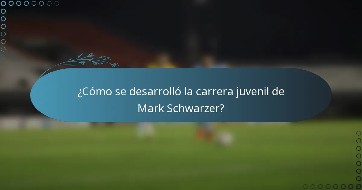 ¿Cómo se desarrolló la carrera juvenil de Mark Schwarzer?