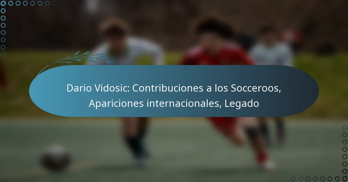 Read more about the article Dario Vidosic: Contribuciones a los Socceroos, Apariciones internacionales, Legado
