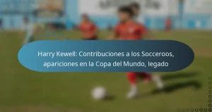 Read more about the article Harry Kewell: Contribuciones a los Socceroos, apariciones en la Copa del Mundo, legado